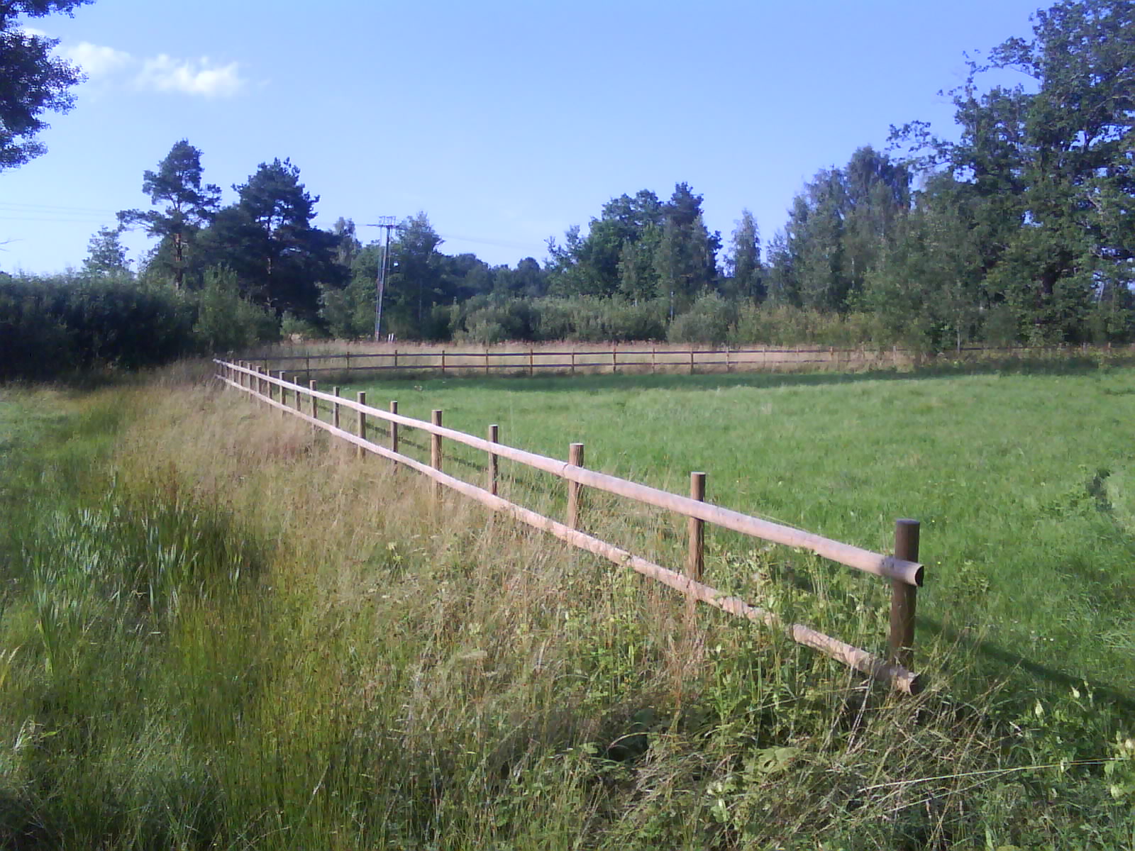 Foto_0046