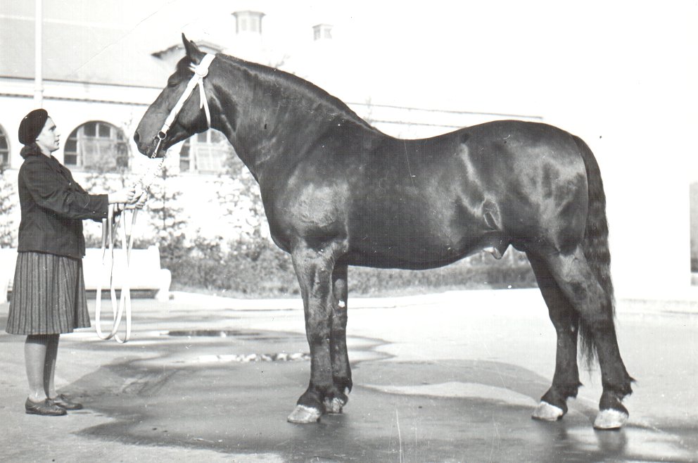 Gausais_Lsb_257